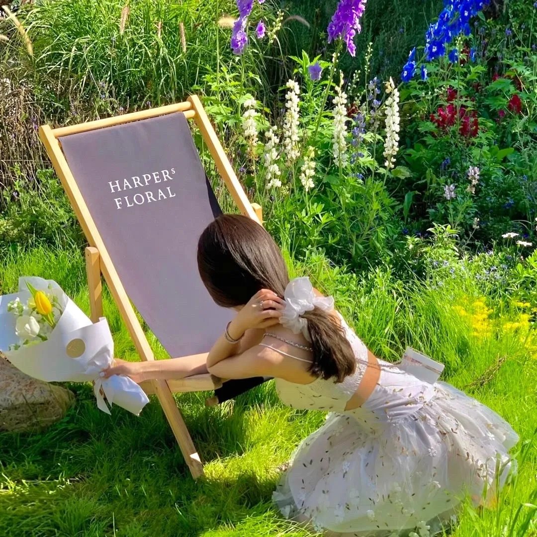 未来是星辰大海